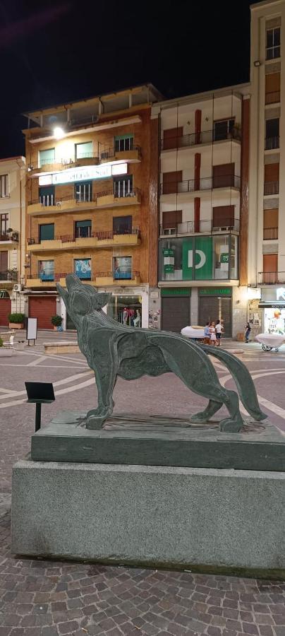 B&B Dei Sogni In Centro, Con Facilita Di Parcheggio 科森扎 外观 照片