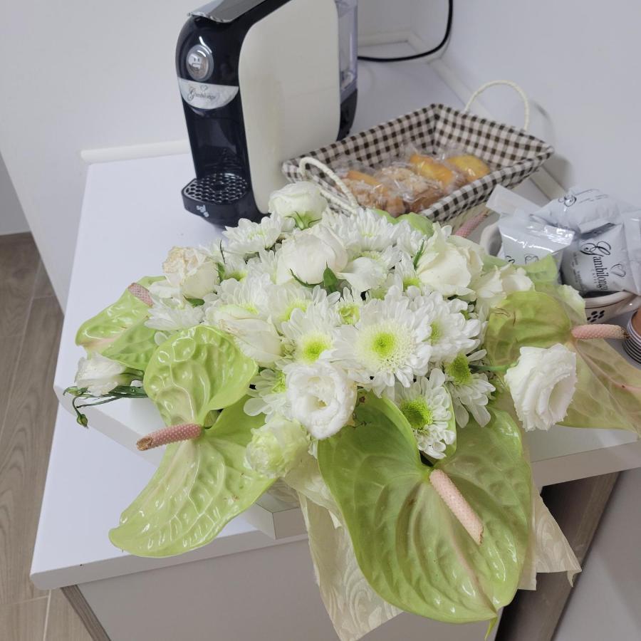 B&B Dei Sogni In Centro, Con Facilita Di Parcheggio 科森扎 外观 照片